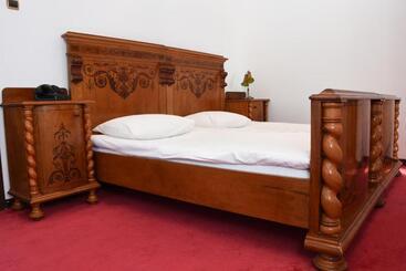 پانسیون Guest House Vila Lujza