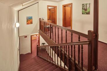 پانسیون Penzion Flora