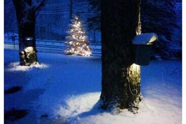 تختخواب و صبحانه The Wilmington Inn