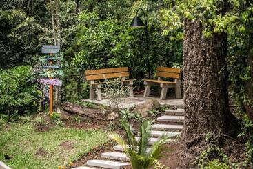 هتل Cozumel Sierra