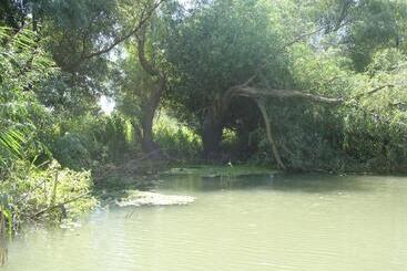 پانسیون Casa Oana