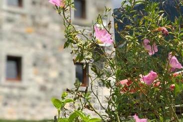 پانسیون Molla Guest House