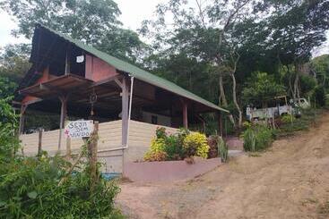 Kombi Hostel Camping