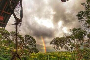 Kombi Hostel Camping