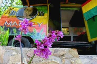 Kombi Hostel Camping