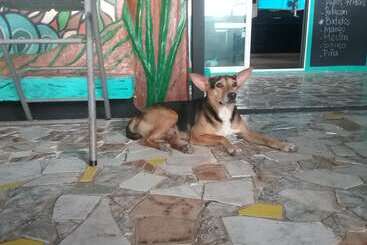 هاستل Hostal Portobelo