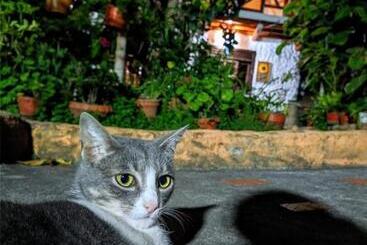 پانسیون Hospedaje El Jardín
