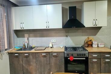 پانسیون Guest House Agmashenebeli 229