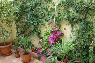 پانسیون Stela Guest House