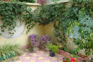 پانسیون Stela Guest House