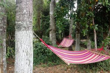 Casa De Noah Bed & Breakfast