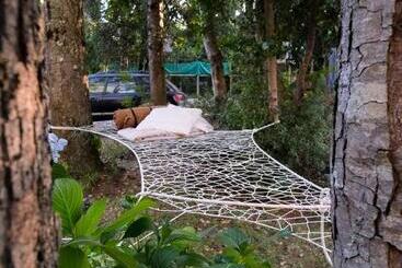 Casa De Noah Bed & Breakfast