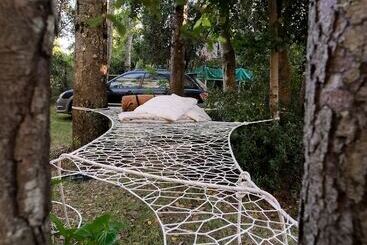 Casa De Noah Bed & Breakfast