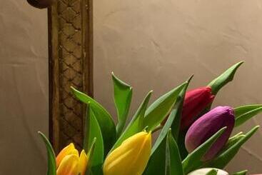 B&b Villa Thibault