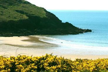 هتل Castlemead Country House By The Sea