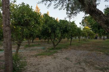 پانسیون Quinta Da Mimosa