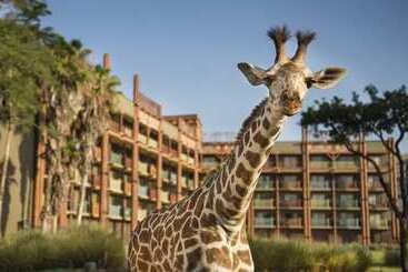 هتل Disney's Animal Kingdom Lodge
