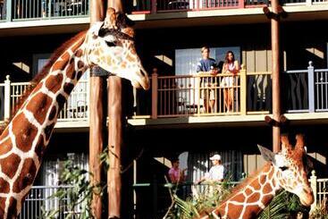 هتل Disney's Animal Kingdom Lodge