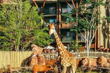 هتل Disney's Animal Kingdom Lodge