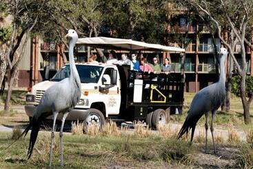 هتل Disney's Animal Kingdom Lodge