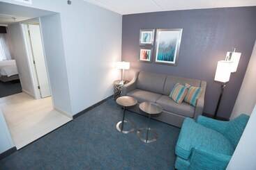 هتل Fairfield Inn & Suites Atlanta Airport North