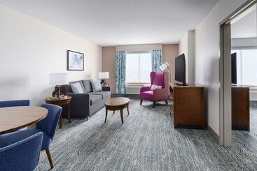 هتل Hilton Garden Inn Orlando At Seaworld