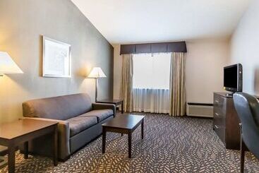 هتل Quality Inn & Suites University Airport