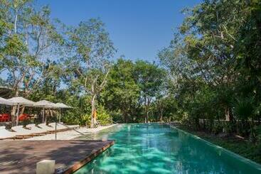 استراحتگاه The Explorean Cozumel - All Inclusive
