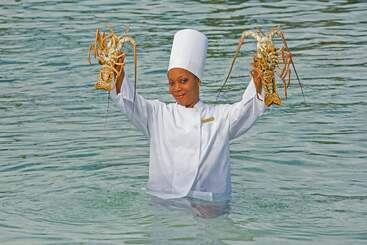 استراحتگاه Warwick Paradise Island Bahamas  All Inclusive  Adults Only