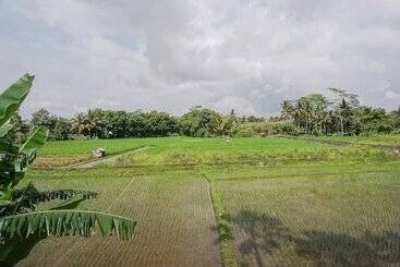 هتل Balam Bali Villa