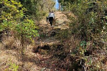 Skywood Resort Shoghi