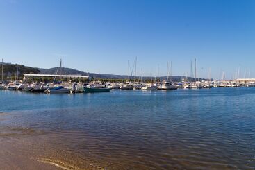 Duerming Park Viveiro
