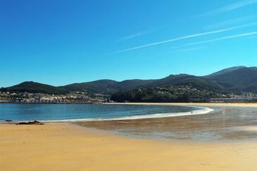 Duerming Park Viveiro
