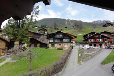 酒店 Steinbock Grindelwald