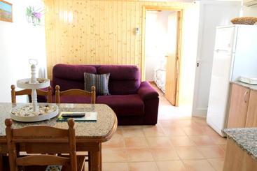 One Bedroom Appartement With Furnished Terrace And Wifi At Poble Nou 6 Km Away From The Beach - إلبوبلي نوو ديل دلتا