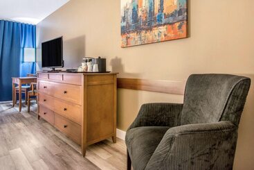 هتل Comfort Inn And Suites St Jerome