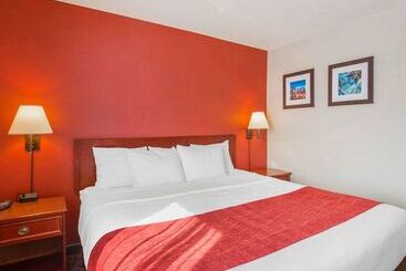 هتل Comfort Inn & Suites University