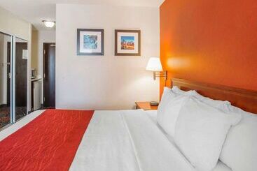 בית מלון כפרי Comfort Inn & Suites University