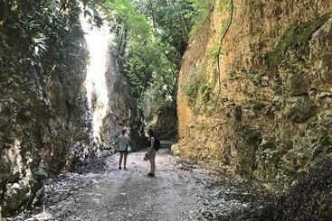هتل Albergo Il Giardino