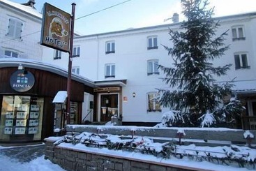 Hotel Hôtel La Marmotte