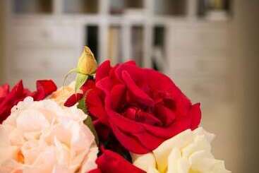 هتل Logis Auberge De La Rose