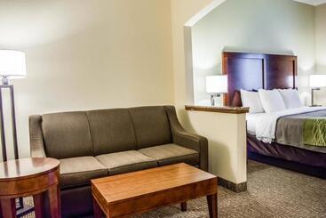 هتل Comfort Inn Fort Myers Northeast