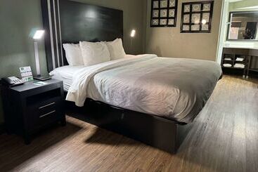 هتل Quality Inn & Suites Near Panama City Beach