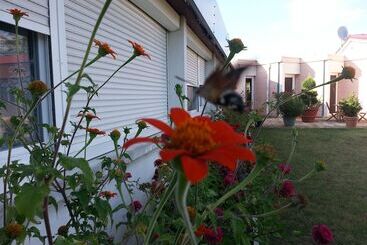 Мотель Les Jardins Du Forez