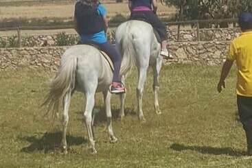 هتل روستایی Koheilan Oriental Lodge Farm