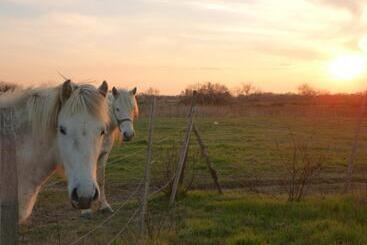 فندق Logis Le Nid Du Pont De Gau