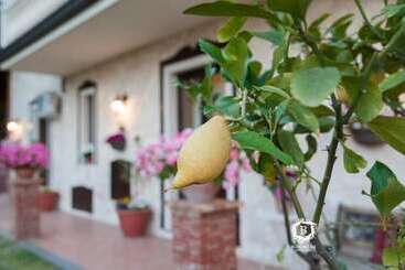 Al Giandale B&b