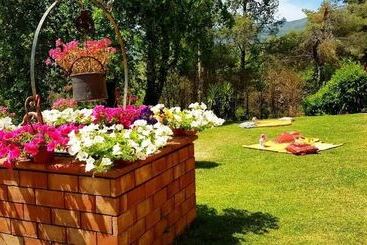 Al Giandale B&b