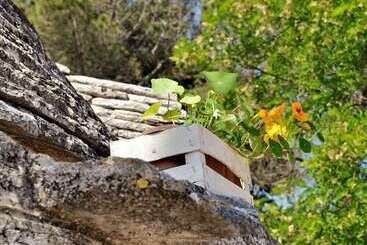 تختخواب و صبحانه Villa Pesce
