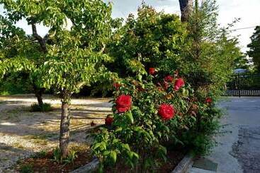 تختخواب و صبحانه Villa Pesce